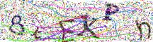 Resimli CAPTCHA