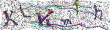 Resimli CAPTCHA