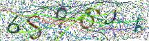 Resimli CAPTCHA