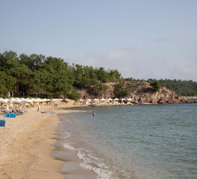 Rosogkremos  1